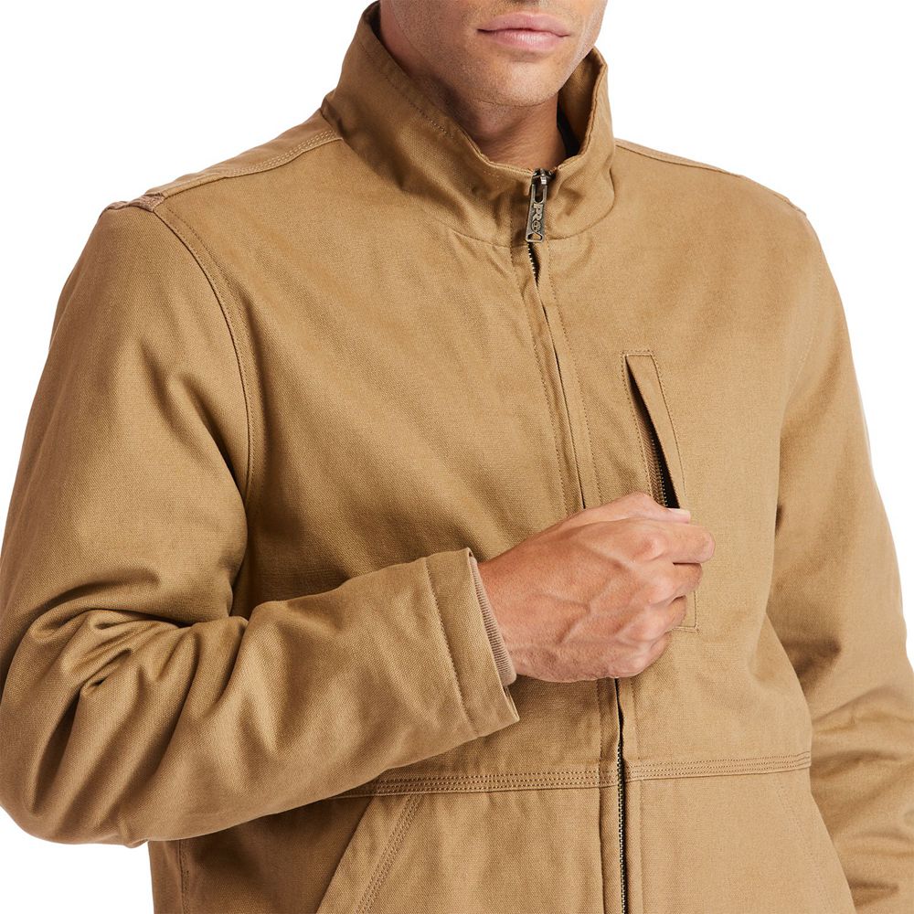 Chaquetas Timberland Argentina Hombre - Pro® Gritman Lined Lona - Marrones - PZWCKX-895